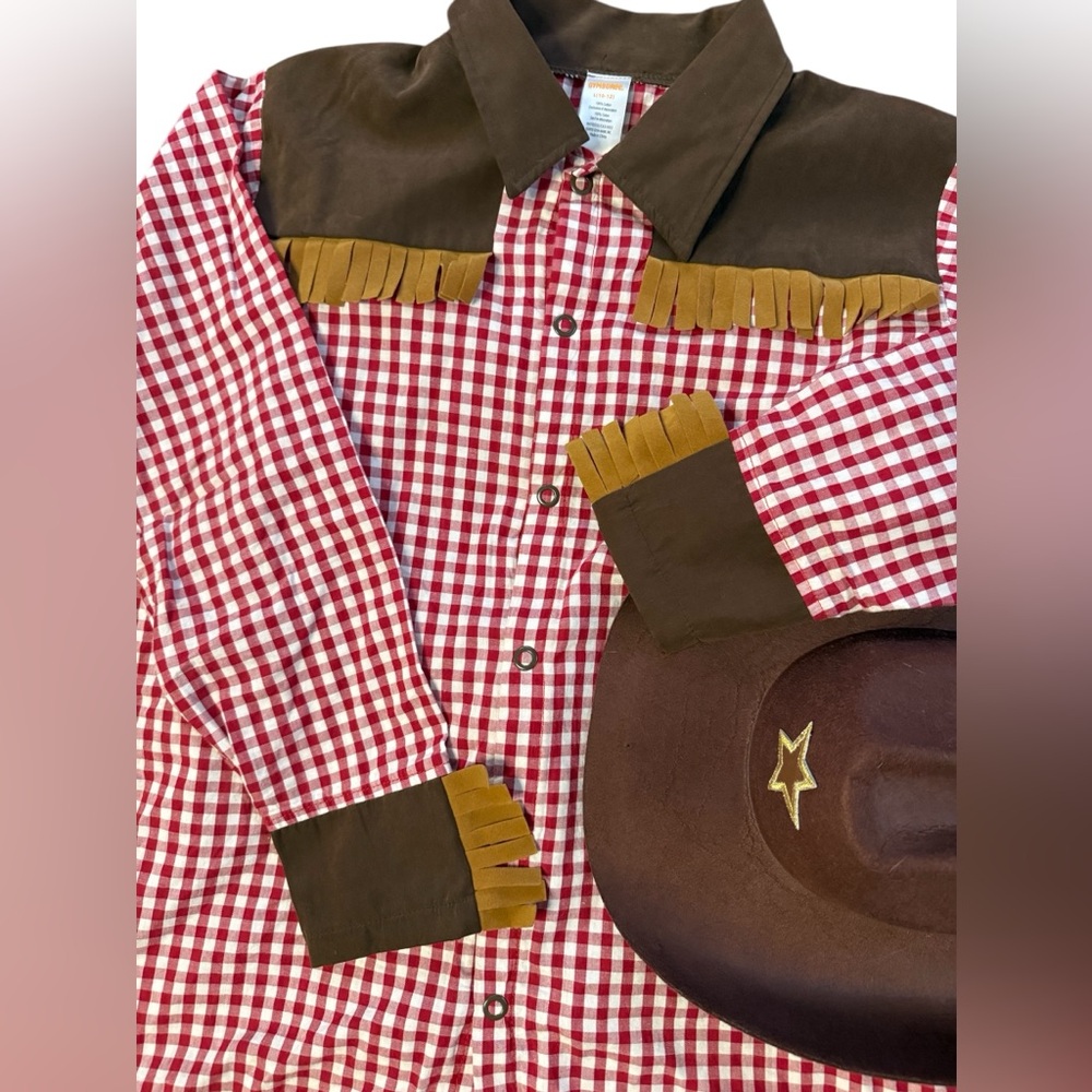 Gymboree L (10-12) JUNIOR BUCKAROO Cowboy Costume shirt hat chaps fringe gingham - Picture 6 of 13